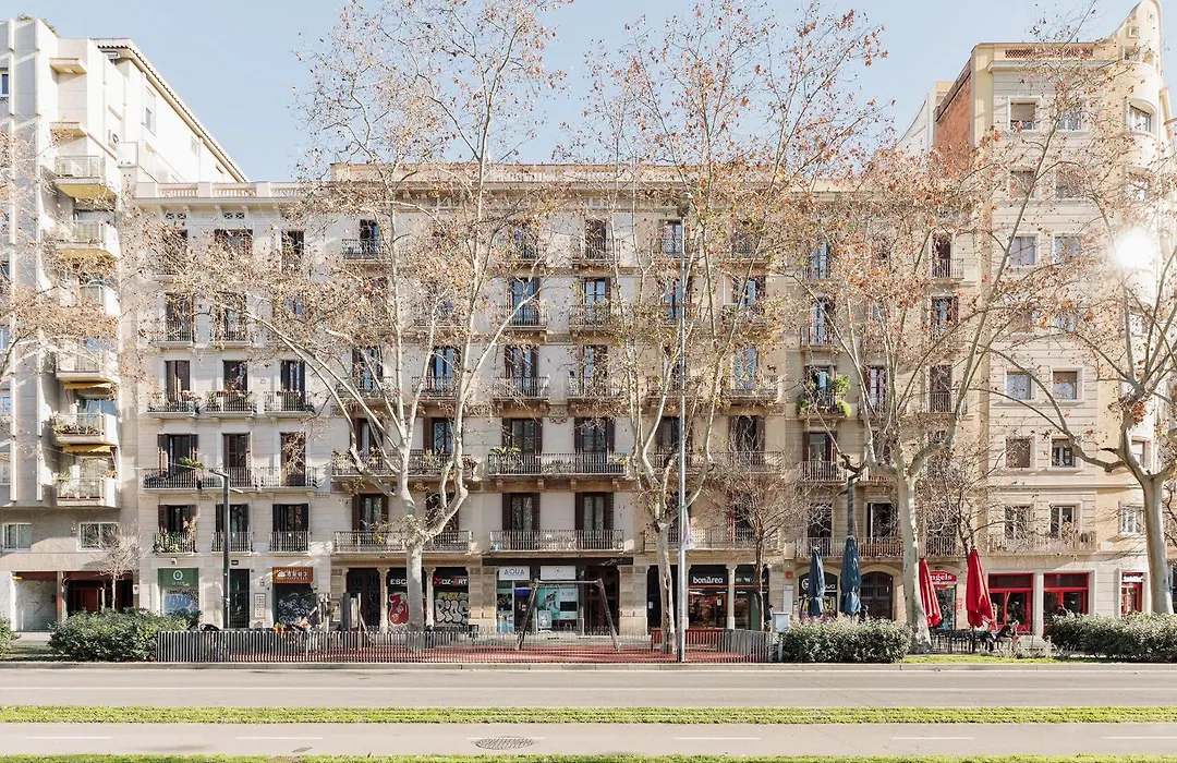 Ola Living Arc de Triomf-1